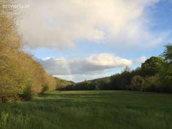 Moore's Meadow, Mill Road, Ballinacarrig Lower (l2144), Rathdrum, Co. Wicklow, Ballinaclash, Co. Wicklow