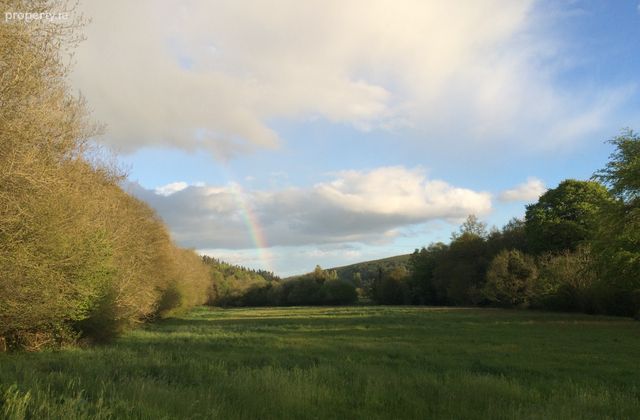 Moore's Meadow, Mill Road, Ballinacarrig Lower (l2144), Rathdrum, Co. Wicklow, Ballinaclash, Co. Wicklow - Click to view photos