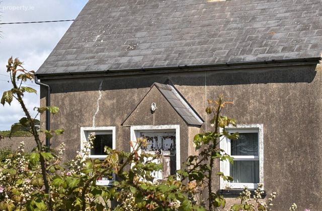 Tacumshin, Tomhaggard, Co. Wexford - Click to view photos