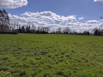 Newboro Villa, Newboro, Patrickswell, Limerick, Co. Limerick, Clarina, Co. Limerick - Image 4