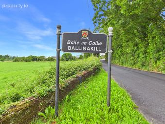 Gill's Pond, Ballinakill, Co. Laois - Image 5