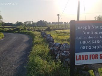 Garrymore, Ballymacward, Ballinasloe, Co. Galway, Gurteen, Co. Galway - Image 5