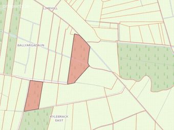 Ballyargadaun, Kylebrack, Loughrea, Co. Galway, Loughrea, Co. Galway