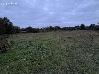 Philipstown Upper, Cushina, Co. Offaly - Image 2