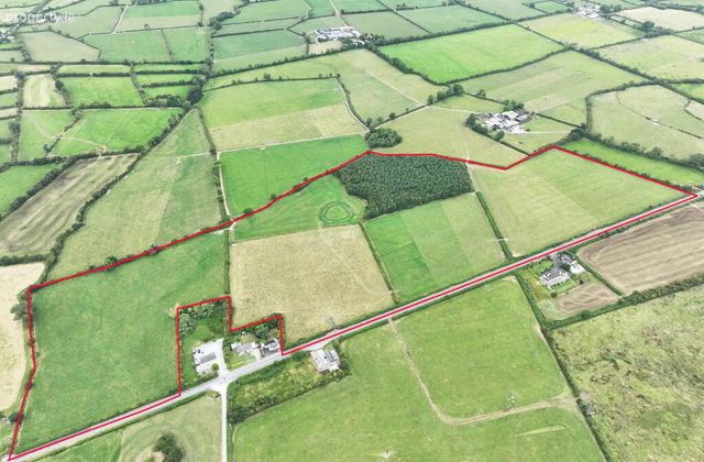 Cappanafaraha, Bruree, Co. Limerick, Bruree, Co. Limerick - Click to view photos