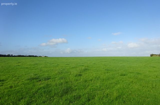Ballintise, Dunmore, Co. Galway - Click to view photos