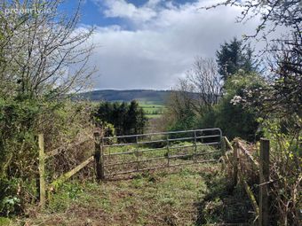 Croughmakeen, Doon, Co.limerick, Doon, Co. Limerick - Image 5
