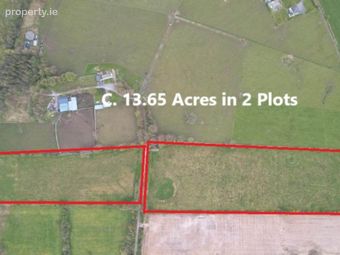 C. 13.65 Acres In 2 Lots, Springfield, Williamstown, Co. Galway, Williamstown, Co. Galway
