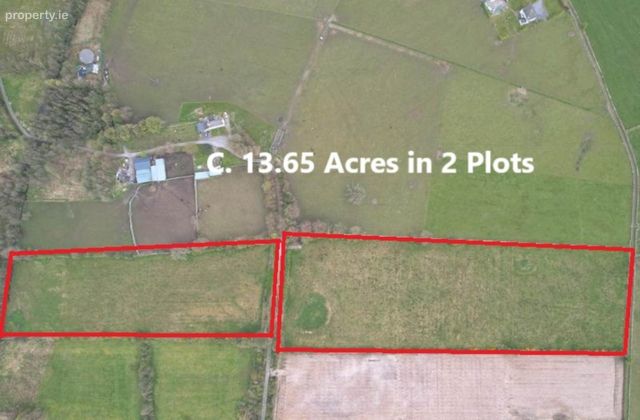 C. 13.65 Acres In 2 Lots, Springfield, Williamstown, Co. Galway, Williamstown, Co. Galway - Click to view photos