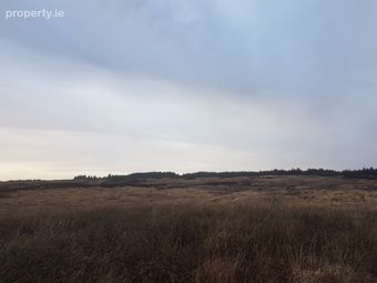 Tyreda Upper, Tulla, Co. Clare - Image 3