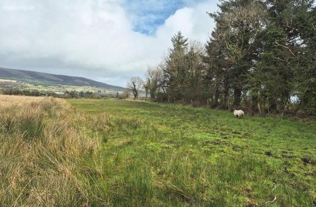 Donaghamore, Manorhamilton, Co. Leitrim, Manorhamilton, Co. Leitrim - Click to view photos