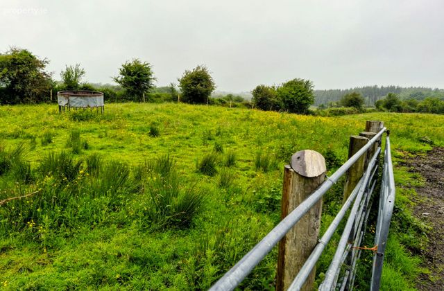 Liscottle, Swinford, Co. Mayo - Click to view photos