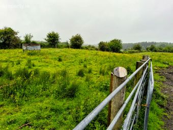 Liscottle, Swinford, Co. Mayo