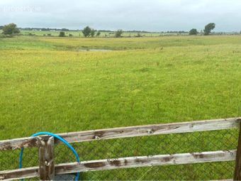 Mirah, Turloughmore, Co. Galway, Turloughmore, Co. Galway - Image 2