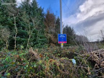 27.13 Acres Of Forestry, Stripe North, Milltown, Tuam, Co. Galway, Dunmore, Co. Galway