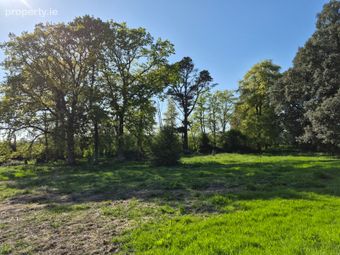 Blanchfieldlands ,hebron Road, Kilkenny, Co. Kilkenny - Image 5