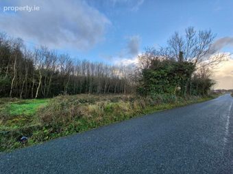 27.13 Acres Of Forestry, Stripe North, Milltown, Tuam, Co. Galway, Dunmore, Co. Galway - Image 3