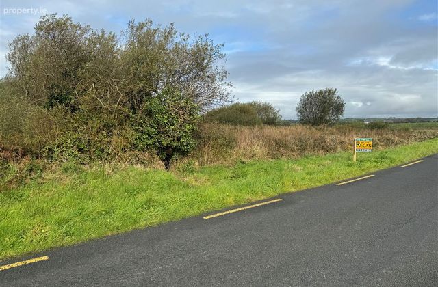 Kilmacduane East, Cooraclare, Clare, Cooraclare, Co. Clare - Click to view photos
