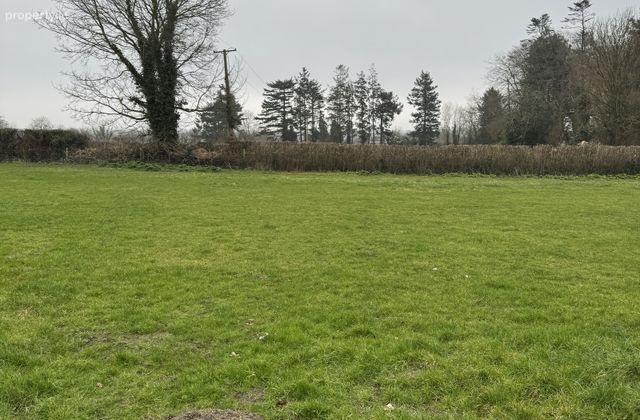 Kilbranish, Bunclody, Co. Carlow - Click to view photos