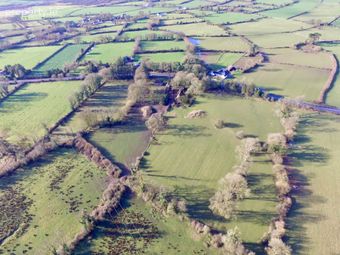 Violet Hill, Ballymurray, Co. Roscommon - Image 3