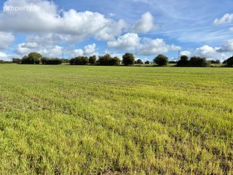 Ballinlough, Ballyroan, Co. Laois - Image 2