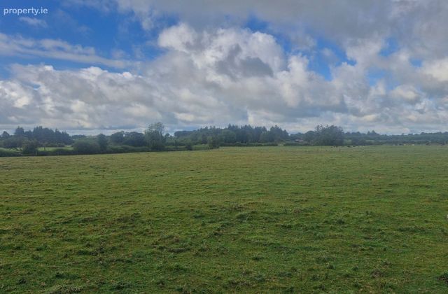 Clonkeen, Killoran, Ballinasloe, Co. Galway, Killoran, Co. Galway - Click to view photos