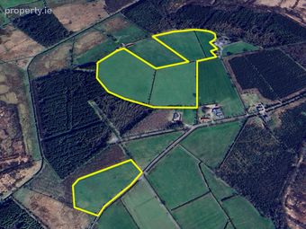 21 Acres At Cloonbony, Kilrooskey, Roscommon, Co. Roscommon, Four Mile House, Co. Roscommon