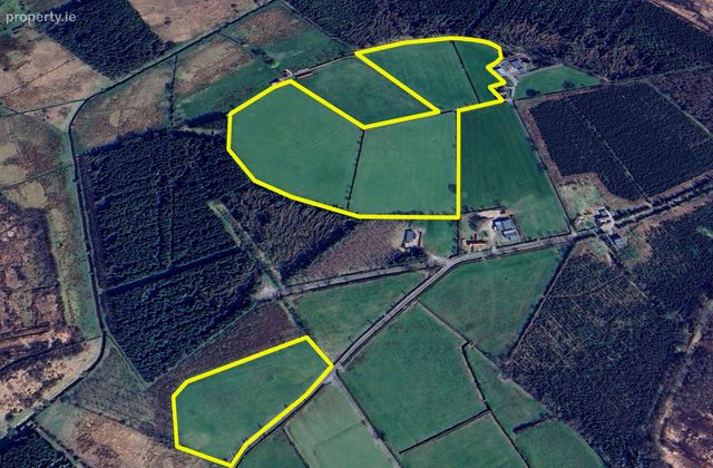 21 Acres At Cloonbony, Kilrooskey, Roscommon, Co. Roscommon, Four Mile House, Co. Roscommon - Click to view photos