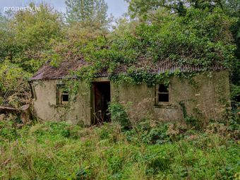 Clontarsna, Castlerea, Co. Roscommon - Image 5