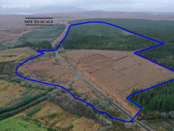 C. 53.3 Acres Of Forestry, Castlehill, Ballycroy, Co. Mayo, Ballycroy, Co. Mayo - Image 4
