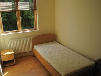 Woodbine House, Stillorgan Road, Donnybrook, Belfield, Dublin 4 - Image 4