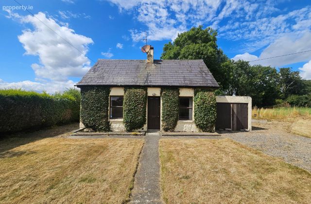 Freynestown, Dunlavin, Freynestown, Co. Wicklow - Click to view photos