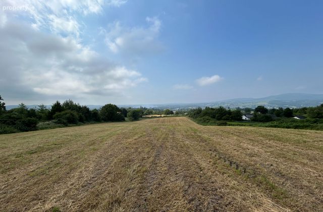 Ballycorrigan, Ballina, Co. Tipperary - Click to view photos