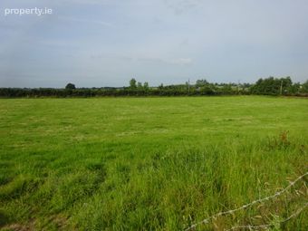 Ballynahattina, Mountbellew, Co. Galway - Image 4