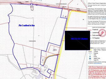 38.5 Acres Piermount, Carhoona, Tarbert, Co. Kerry - Image 2