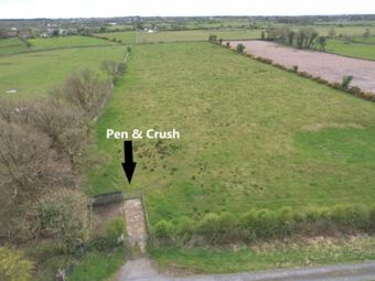 C. 8.45 Acres, Springfield, Williamstown, Co. Galway, Williamstown, Co. Galway - Image 5
