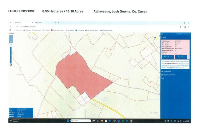 16 Acres, Lough Gowna, Co. Cavan - Click to view photos