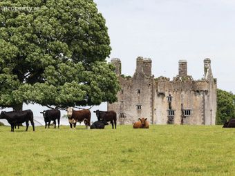 Sopwell Hall Estate (300-acres), Co. Tipperary, Pike, Co. Tipperary - Image 3