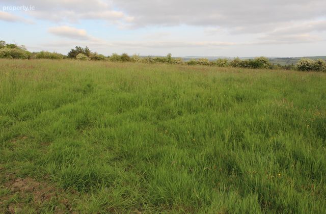 Caherlane, Abbeyfeale, Co. Limerick - Click to view photos