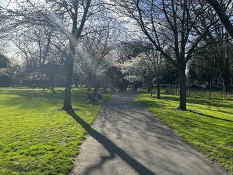 102 Oldtown Demesne, Naas, Naas, Co. Kildare