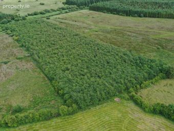 C.14.55 Acres At, Corrocoggil South &amp; Kilrooan, Lisacul, Co. Roscommon, Lisacul, Co. Roscommon - Image 4