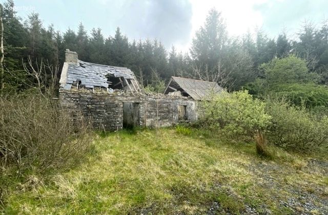 Ballagh Ennistymon, Ennistymon, Co. Clare - Click to view photos