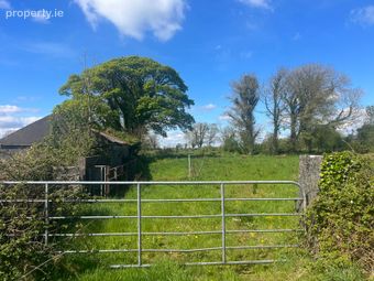 Windfield Upper , Menlough , Ballinasloe , Co. Galway, Menlough, Co. Galway - Image 5