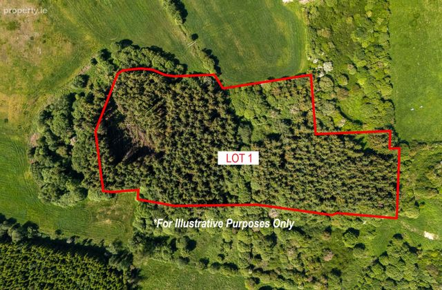 Lot 1, Gallen, Ferbane, Co. Offaly - Click to view photos