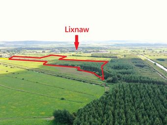 19.7 Acres Forestry Plantation Clogher, Lixnaw, Co. Kerry - Image 3