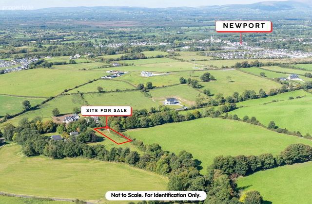 Derryleigh, Newport, Co. Tipperary, Newport, Co. Tipperary - Click to view photos