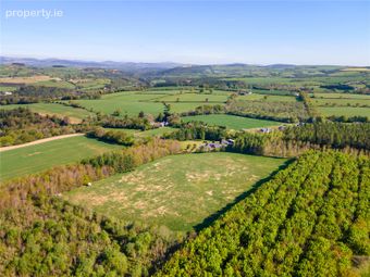 Land, Ballyarthur, Woodenbridge, Co. Wicklow, Woodenbridge, Co. Wicklow - Image 4