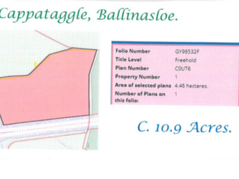 Cappataggle, Ballinasloe, Co. Galway