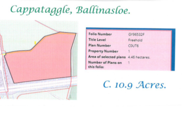 Cappataggle, Ballinasloe, Co. Galway - Click to view photos