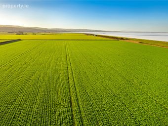 Lot 1 - Carse Hall House &amp; Farm, Carse Road, Limavady, Co. Derry, Limavady, Co. Derry - Image 3